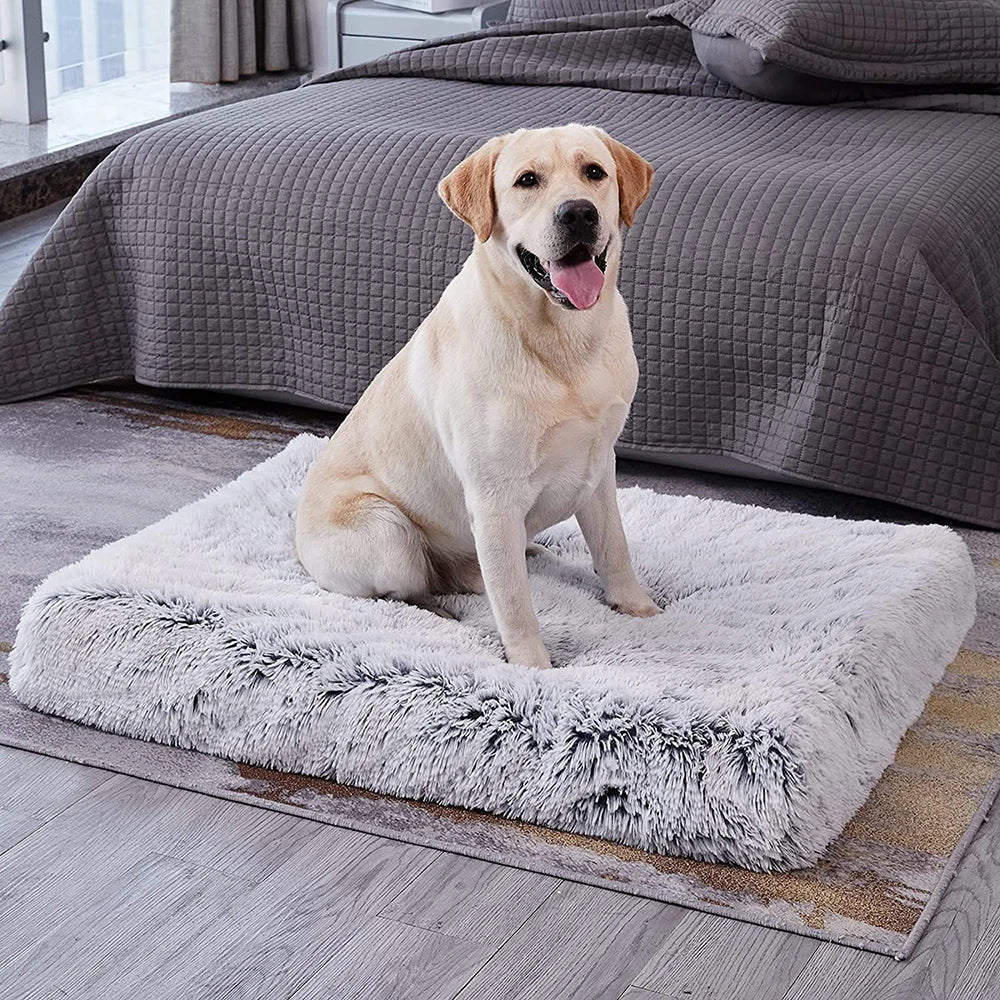 Flauschiges Hundekissen – Flauschparadies