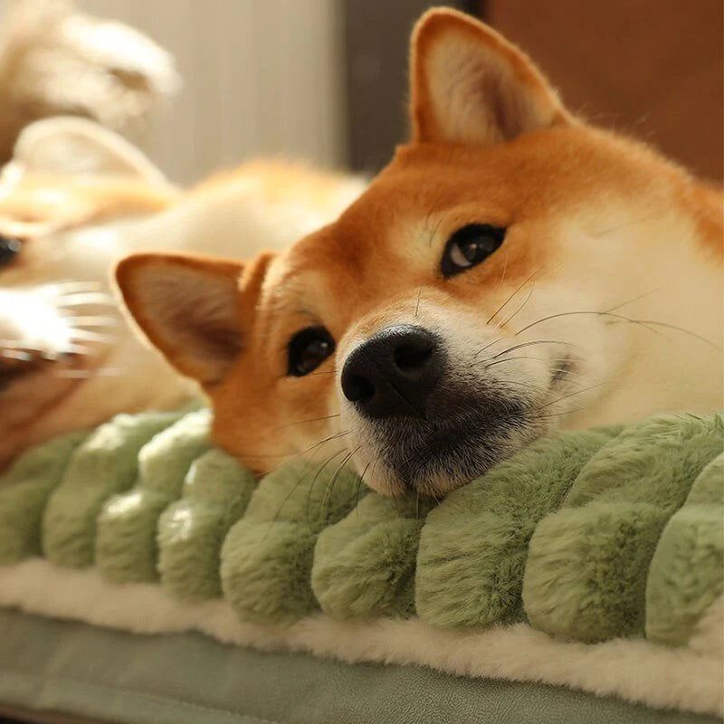 Orthopädische Hundematte mit Kopfstütze Orthopädisches Hundebett Flauschparadies®