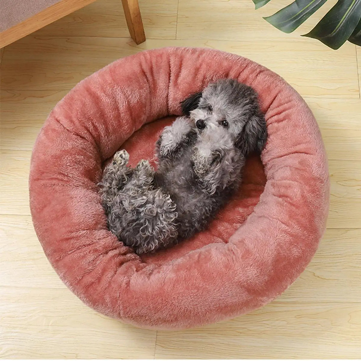 Wolke 7 Hundebett SoftTouch NEU - Das Original™ Wolke 7 Hundebett Flauschparadies®