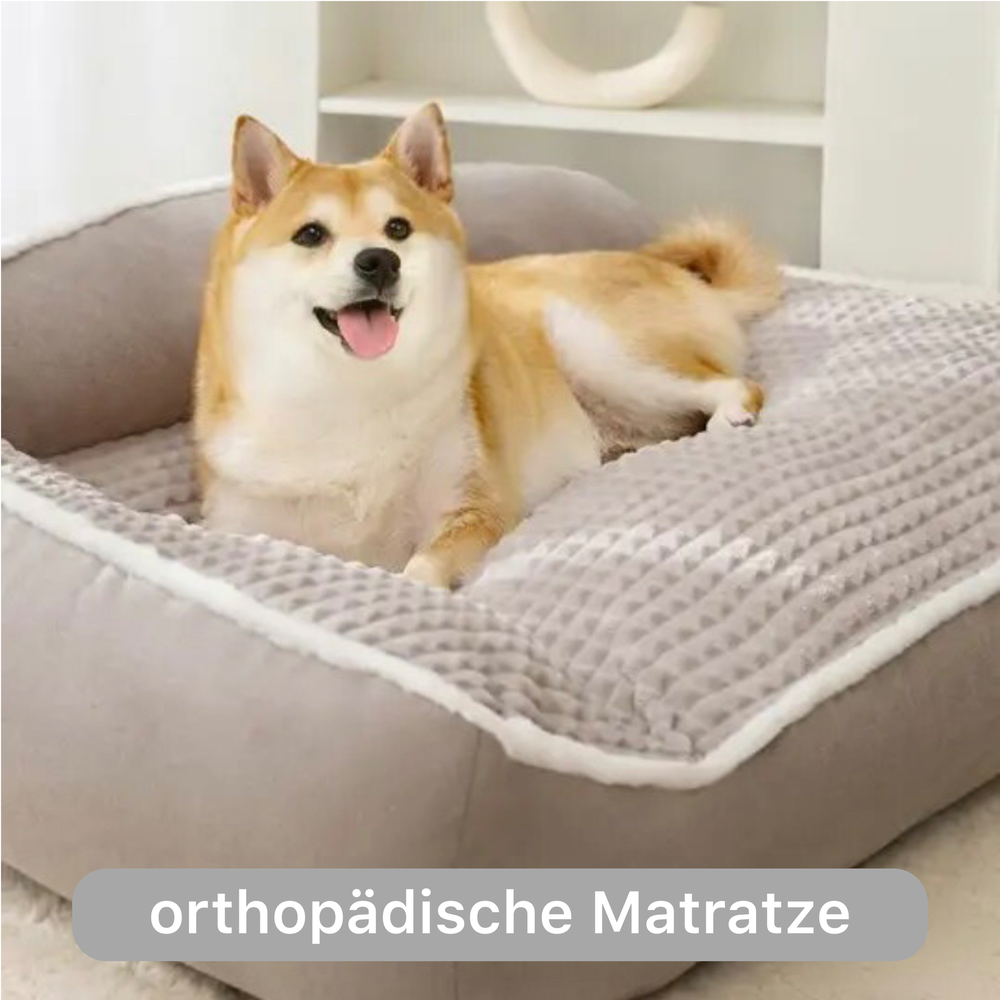 Orthopädisches Hundebett
