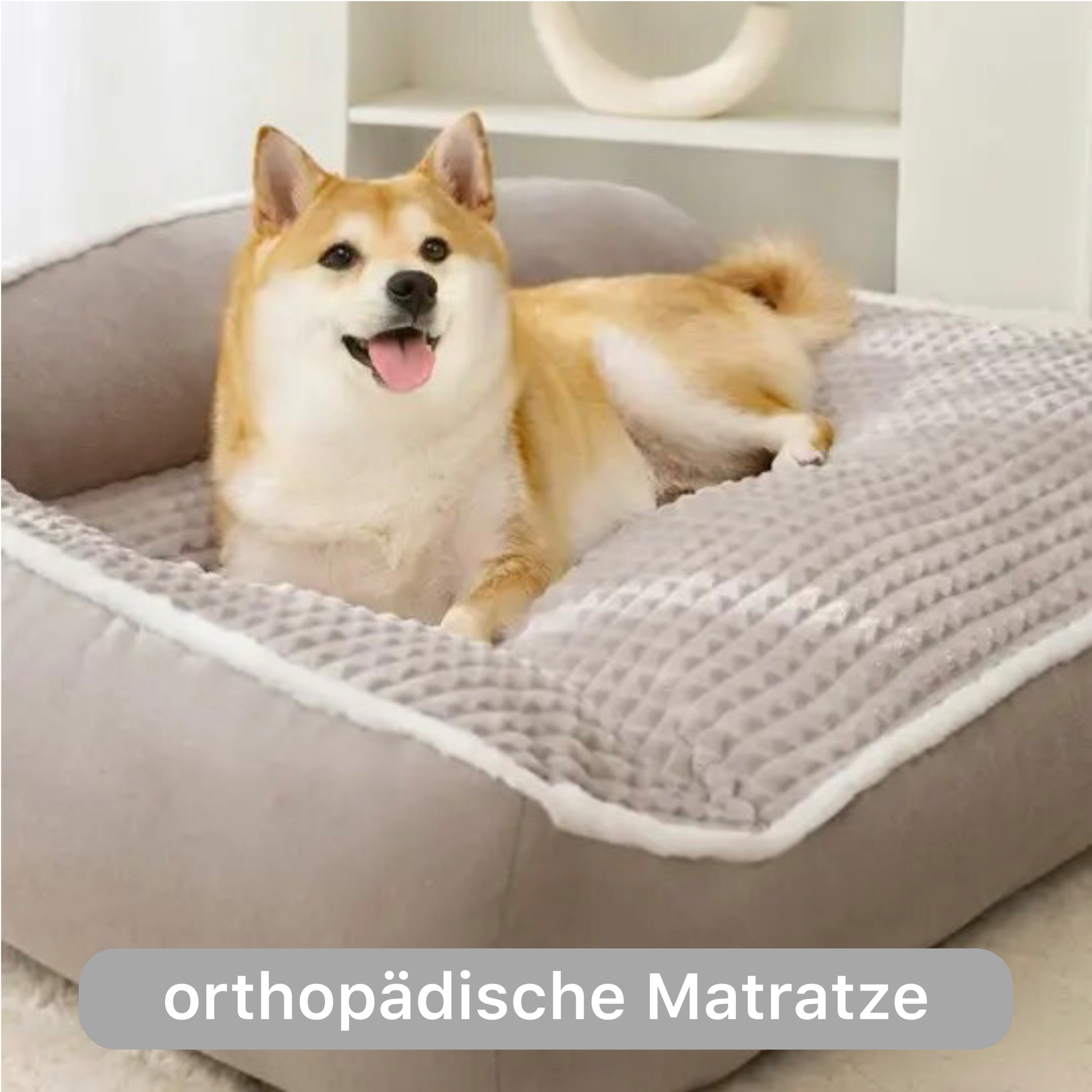 grau-hellgrau-hell-xl-xxl-xxxl-4xl-orthopaedisches-hundebett-hundekissen-hundematte-orthopädisch-ortho-paedisch-rücken-gelenke-schmerzen