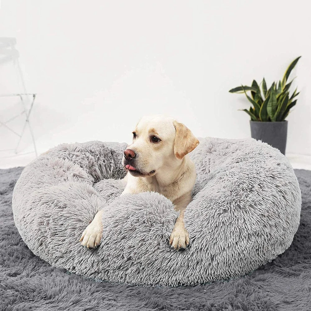 Wolke 7 Plus